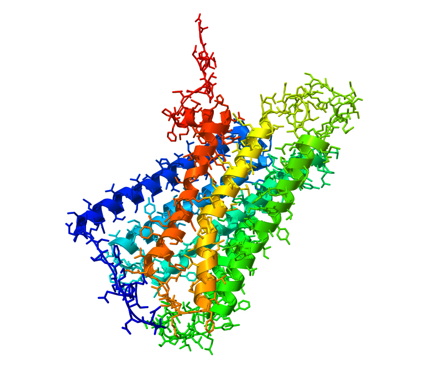 CB1 rezeptor neurodermitis cbd