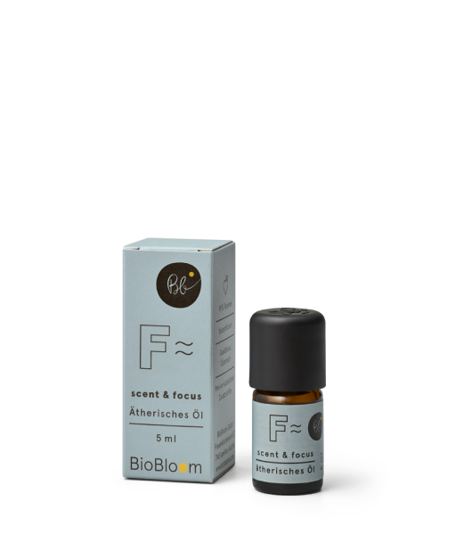 Aromatherapie Ätherisches Öl scent & focus 5ml
